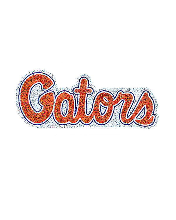 Florida Gators Glitter Tattoo 4-pack